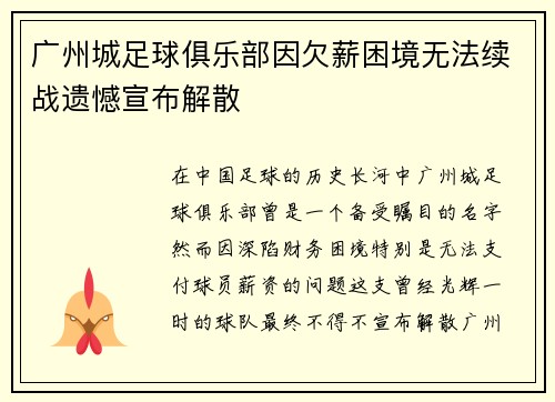 广州城足球俱乐部因欠薪困境无法续战遗憾宣布解散 广州城足球俱乐部因欠薪困境无法续战遗憾宣布解散